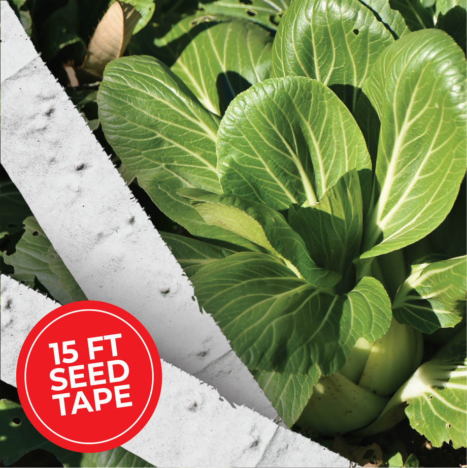 vegetable garden seed tape Seed Tape Bundle – HOSS