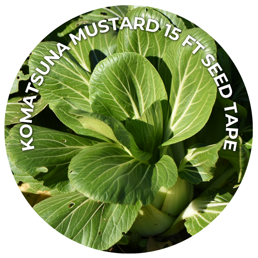 Komatsuna Mustard 15 ft seed tape: a circle showing a leafy green komatsuna plant growing in the garden.