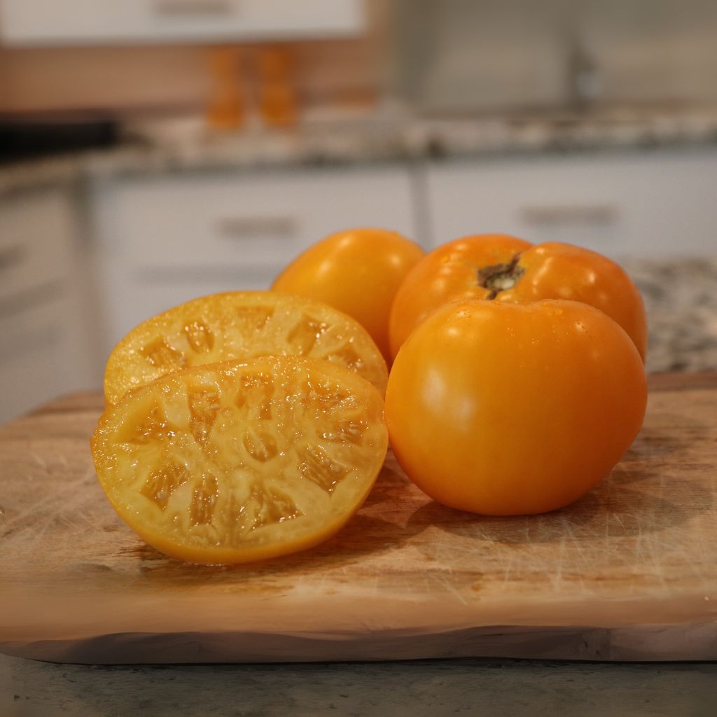 Lemon Boy Plus Hybrid Tomato