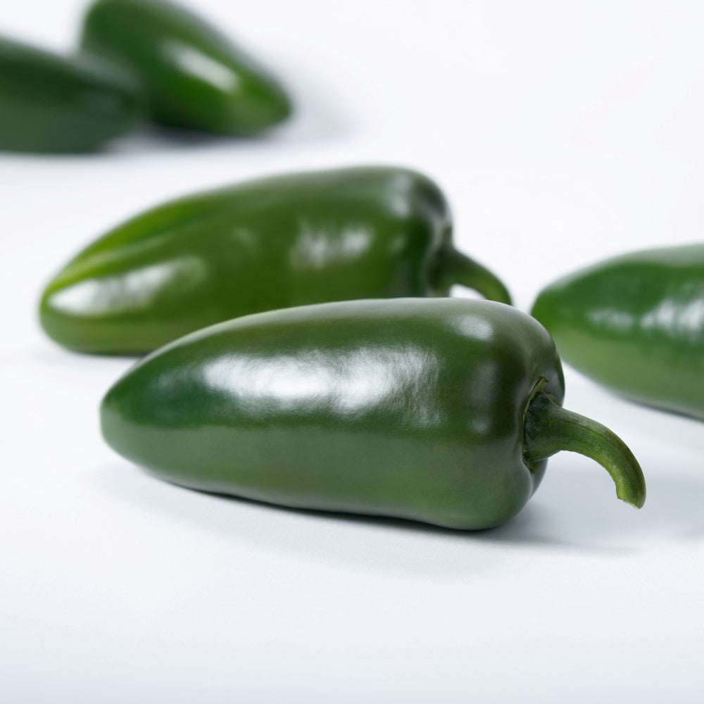 Megatron Jalapeno Peppers on a white background