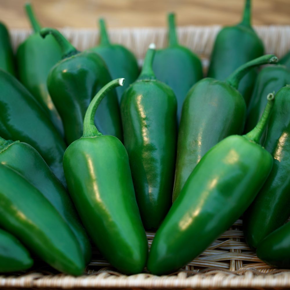 Megatron Jalapeno Peppers in a basket