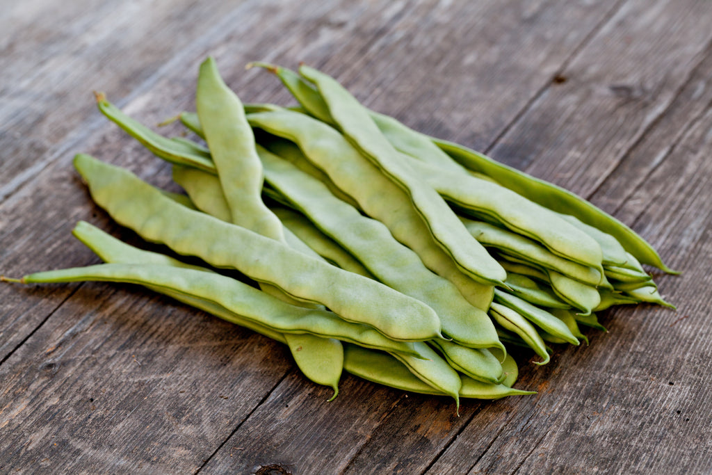 Navajo Beans