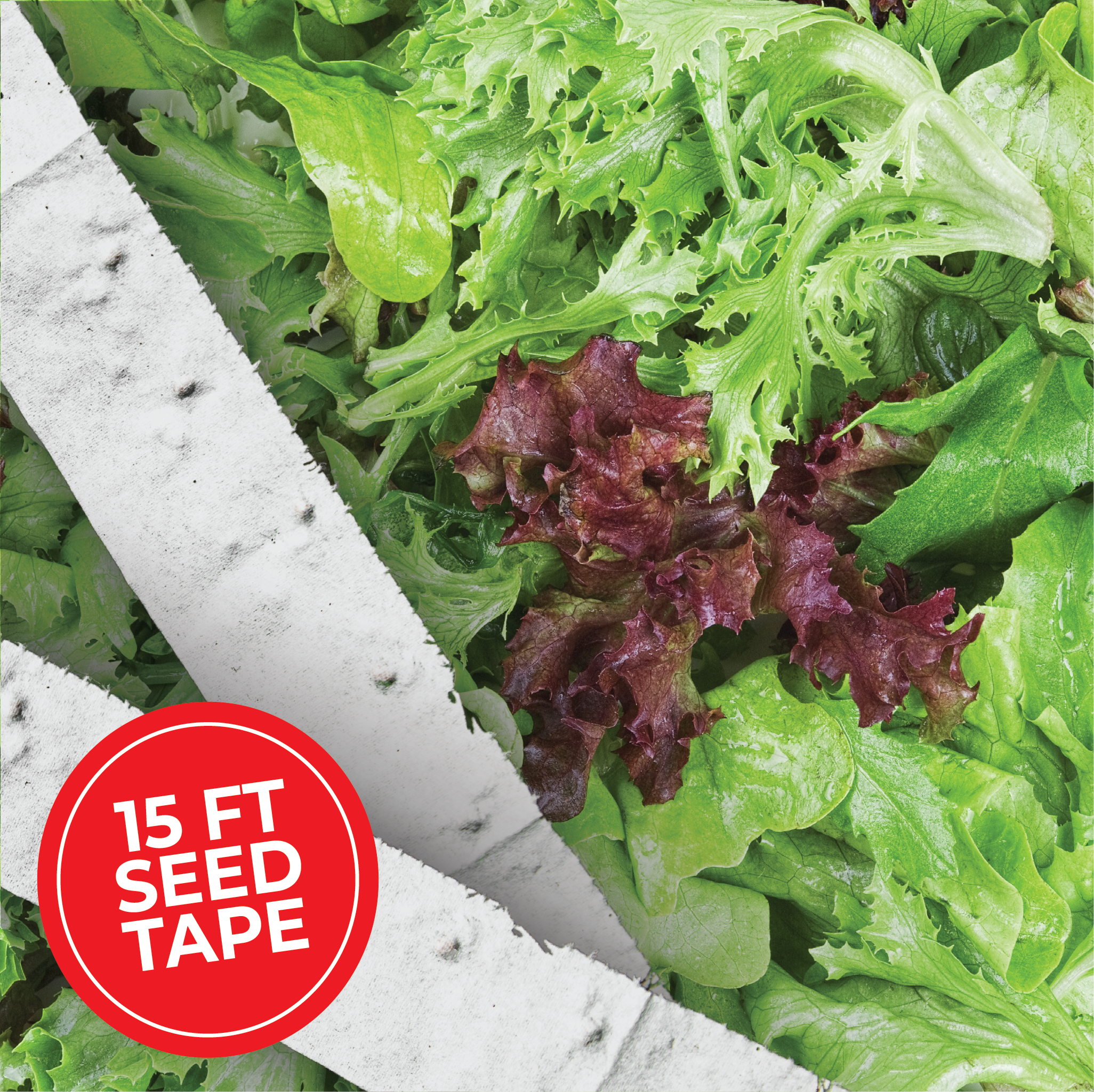 lettuce seed tape for planting Oakleaf Salad Bowl Lettuce Mix Seed Tape 6 Tapes (45 ft.)