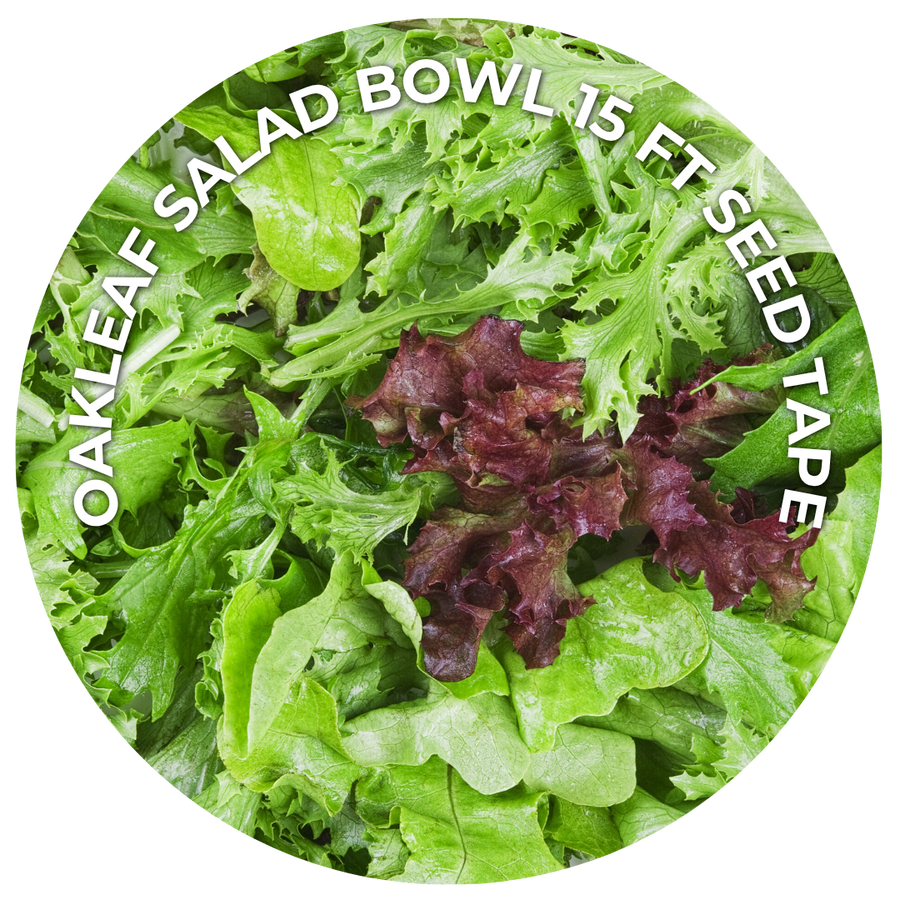Oakleaf Salad Bowl 15 ft seed tape: a circle of mixed green and red oakleaf lettuce leaves.