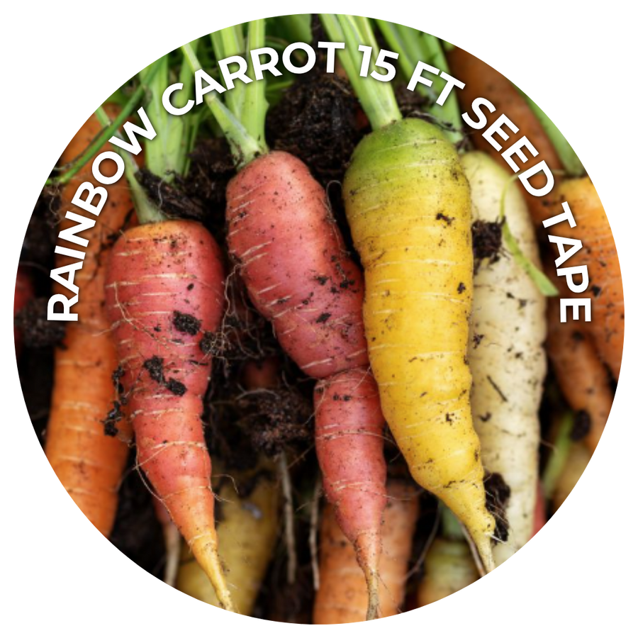Rainbow Carrot 15 ft seed tape: a circle of freshly harvested orange, red, yellow, and white carrots.
