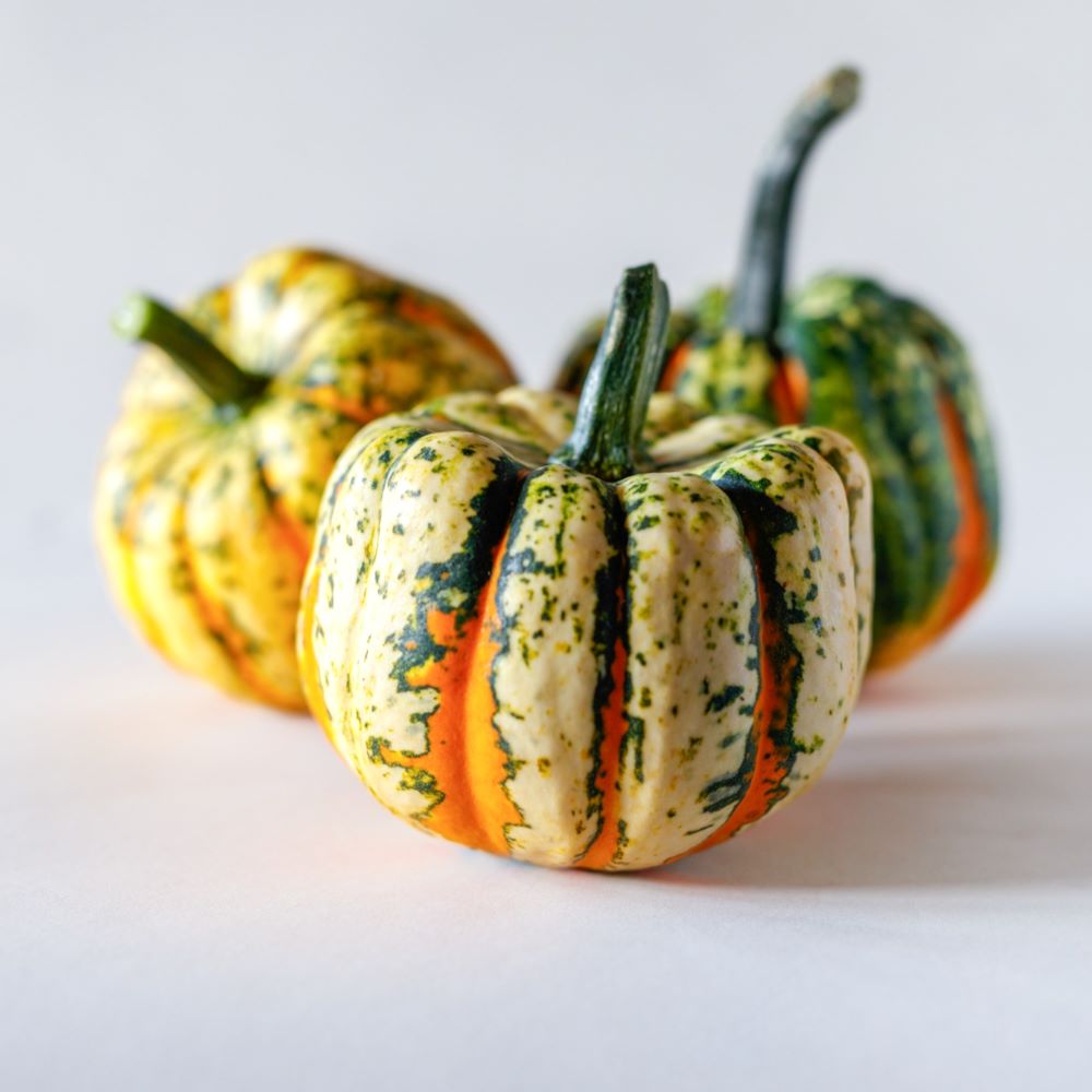 Close up of 3 Thriller Squash