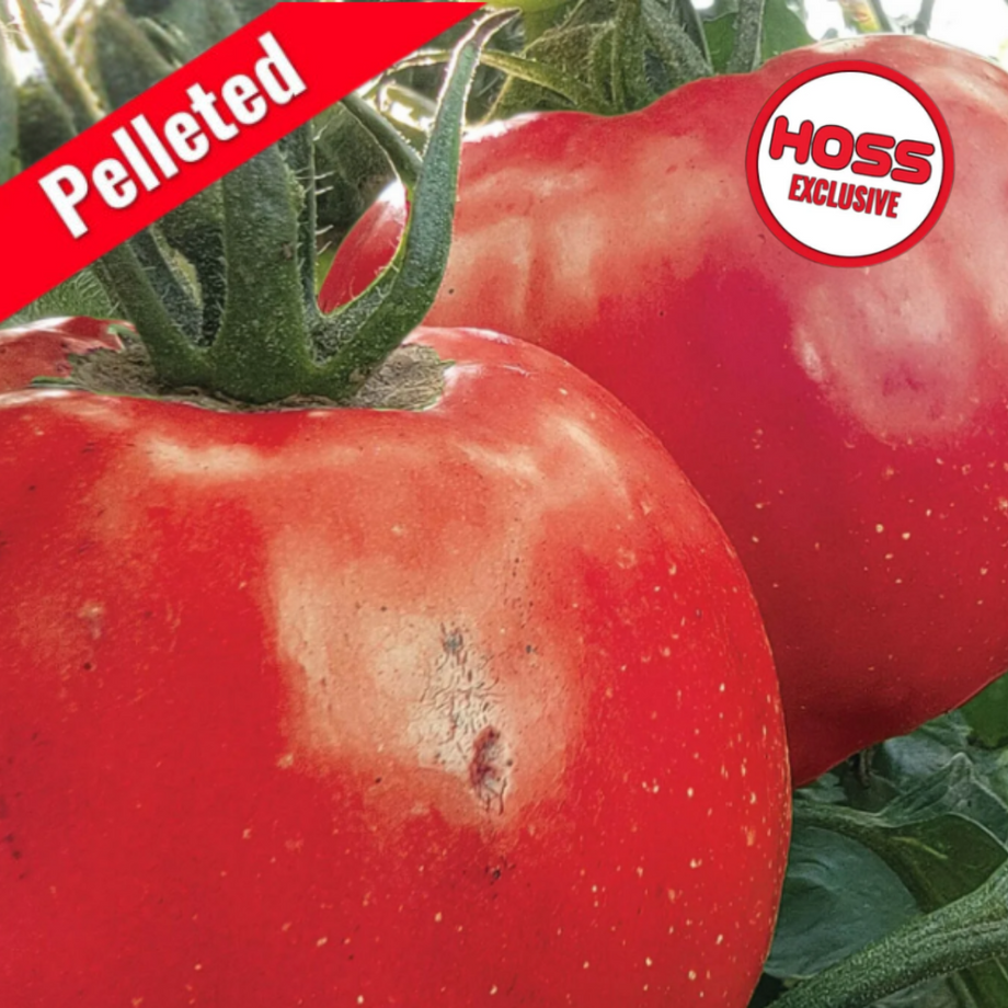 Shelby (STM2117) Hybrid Tomato F1 – HOSS Shelby (STM2117) Hybrid Tomato F1 – HOSS