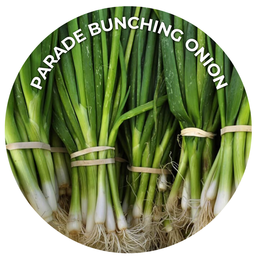 Seeds of the Month