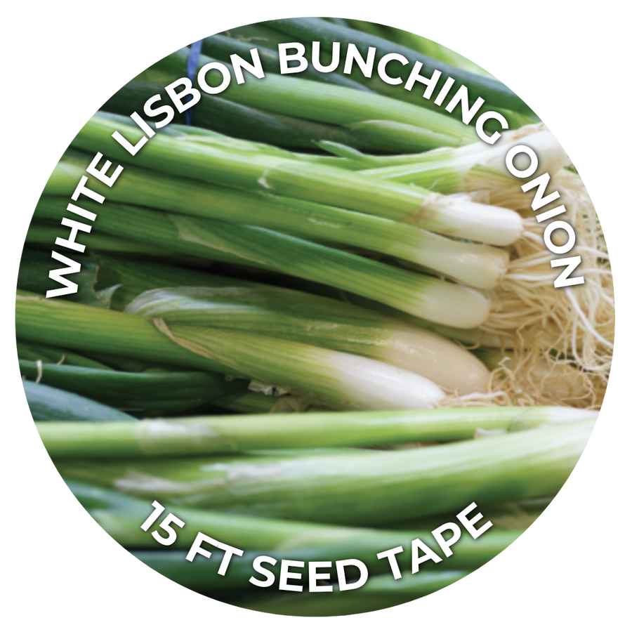 White Lisbon Bunching Onion 15 ft seed tape: a circle of fresh green onions with white bulbs and roots.