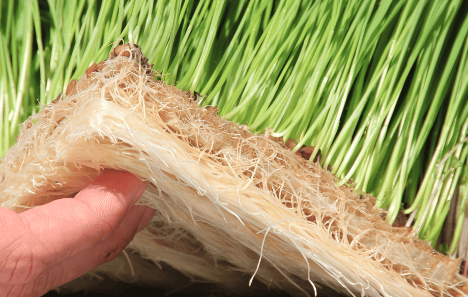 1020 Grow Mats – HOSS