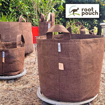 2 Root Pouch NAVY (12L - 3 gallons) Géotextile Smart grow Pot déco 2 Root Pouch NAVY (12L - 3 gallons) Géotextile Smart grow Pot déco