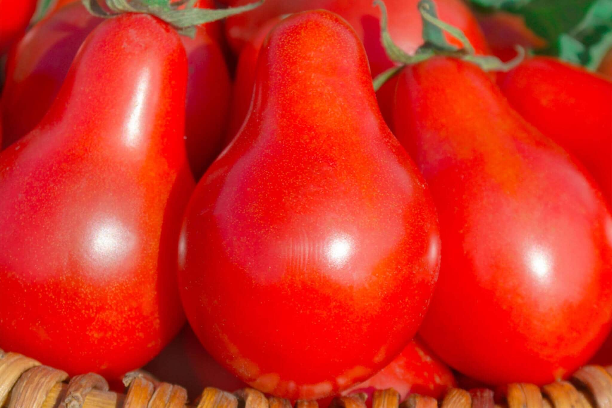 Austin's Red Pear Tomato – HOSS