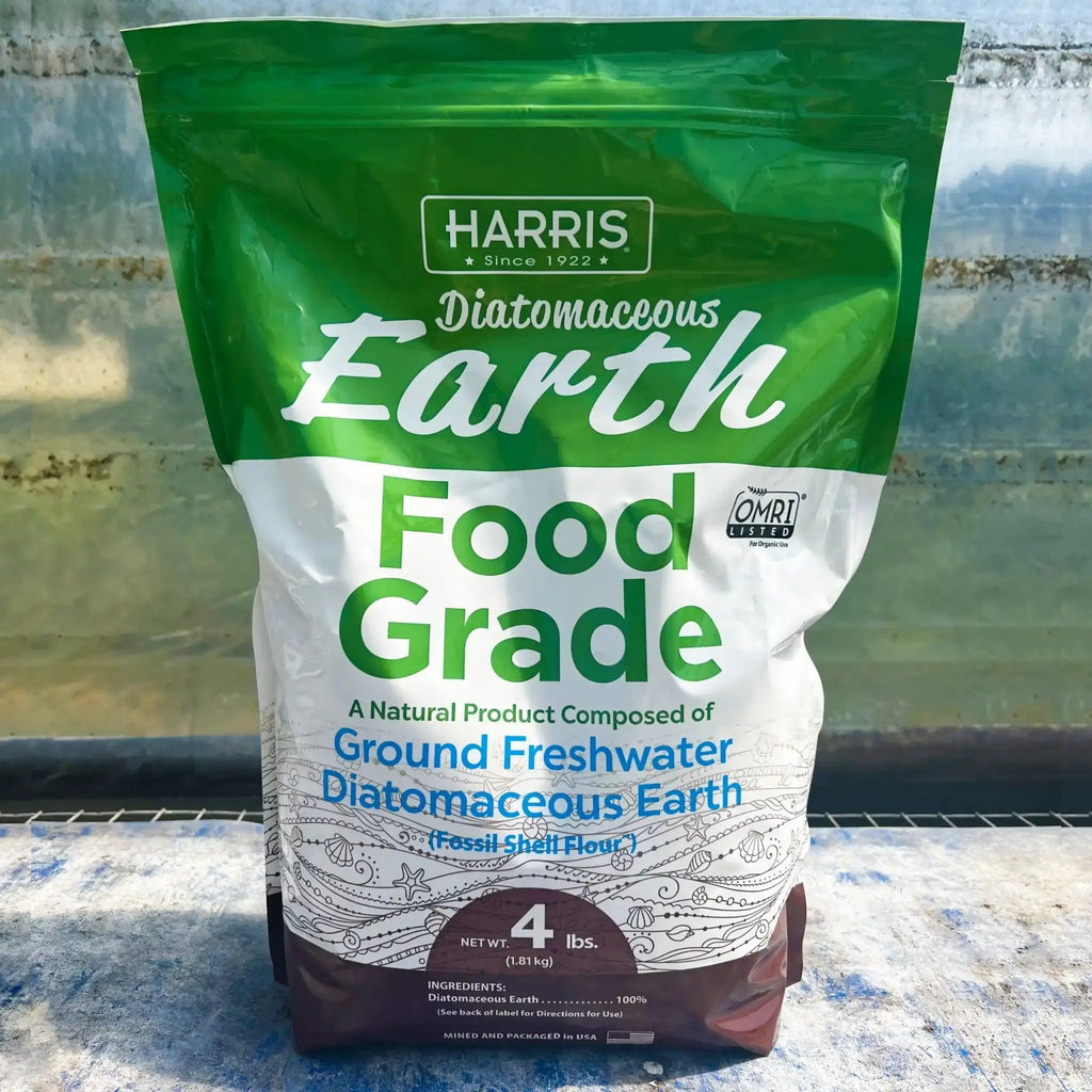 Turmeric Earth Turmeric Growing Guide – HOSS