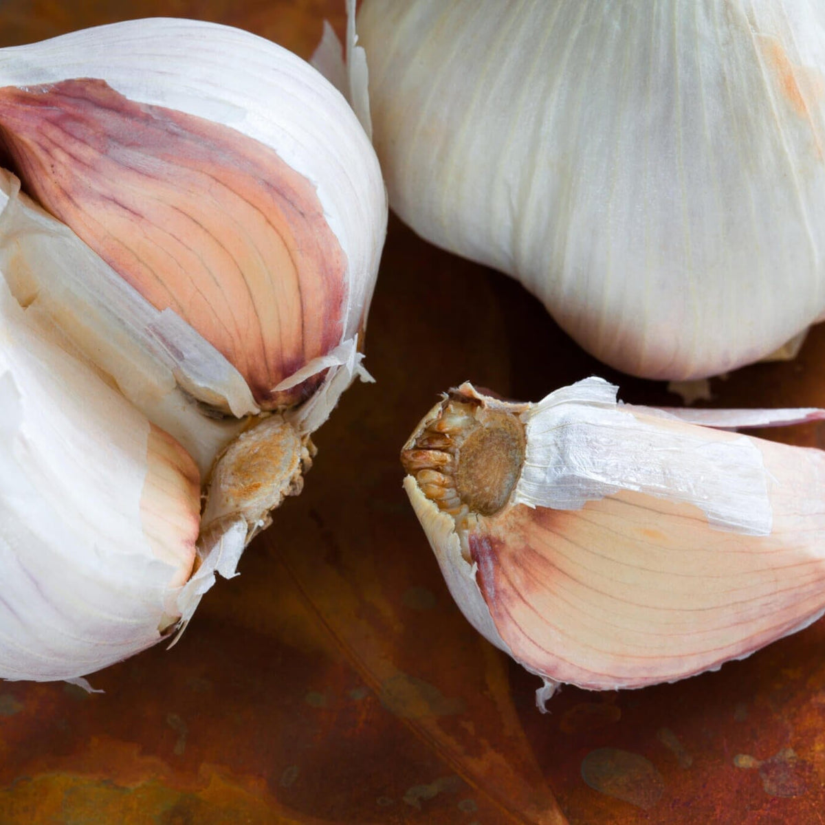 German Red Garlic – HOSS