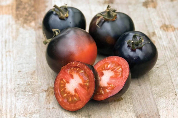 Indigo Rose Tomato – HOSS