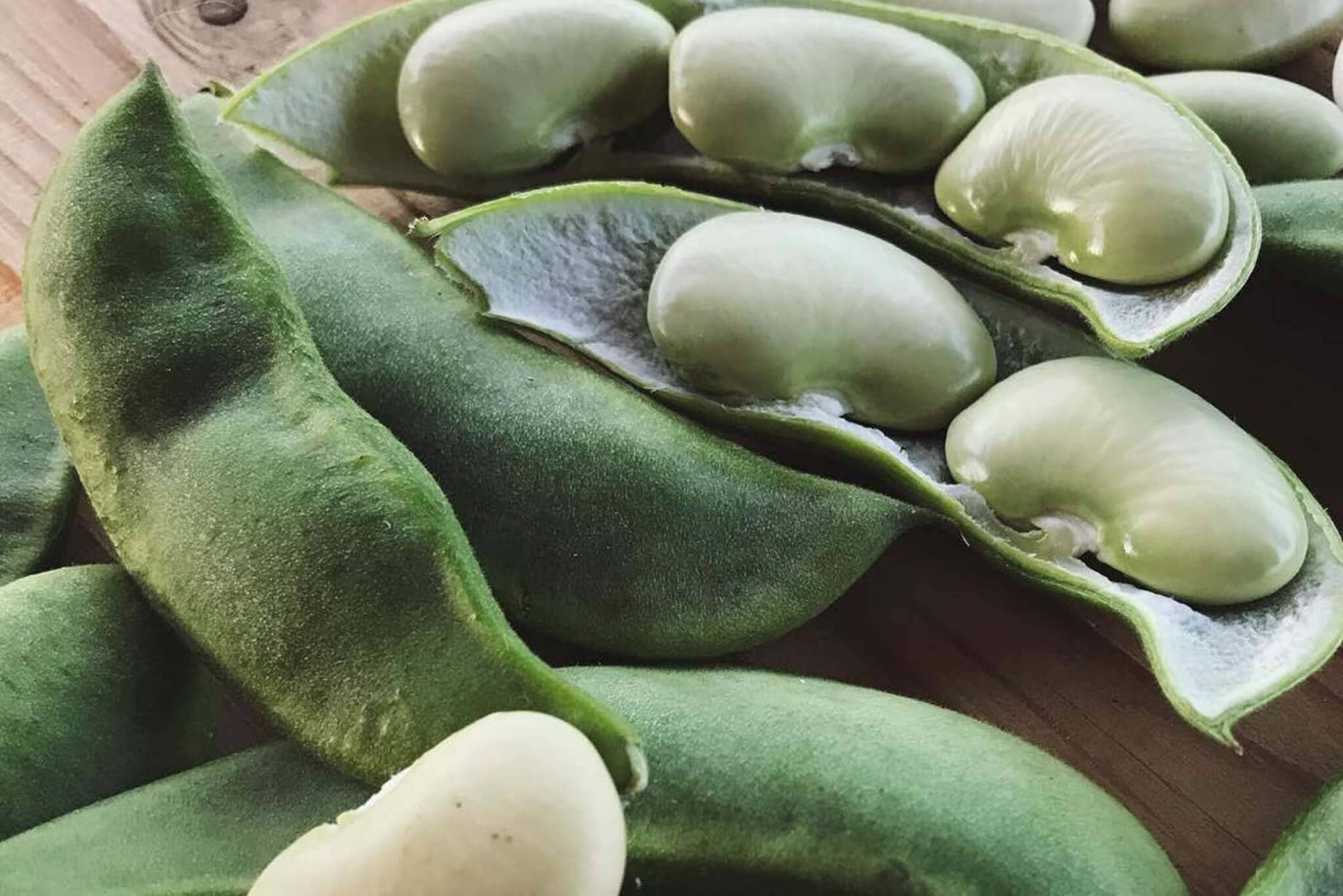 planting butter bean seeds King Of The Garden Lima Pole (Climbing Butter) Bean