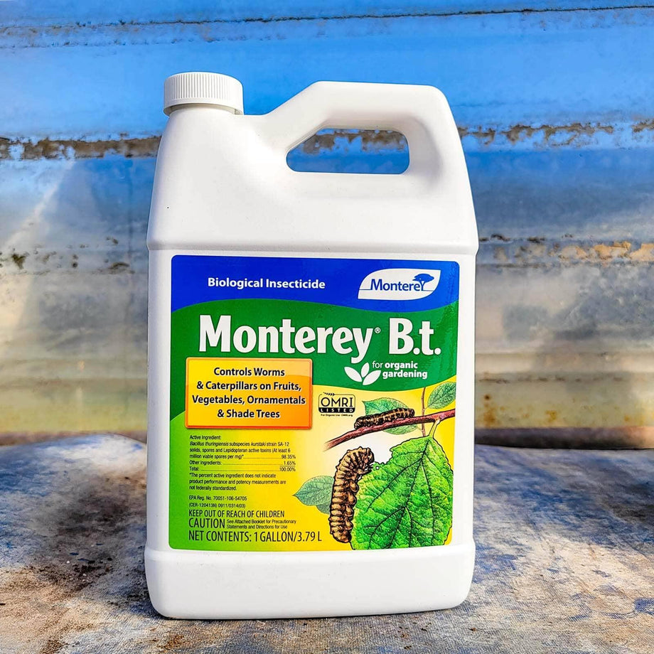 monterey garden insect spray gallon Monterey Bt Gallon