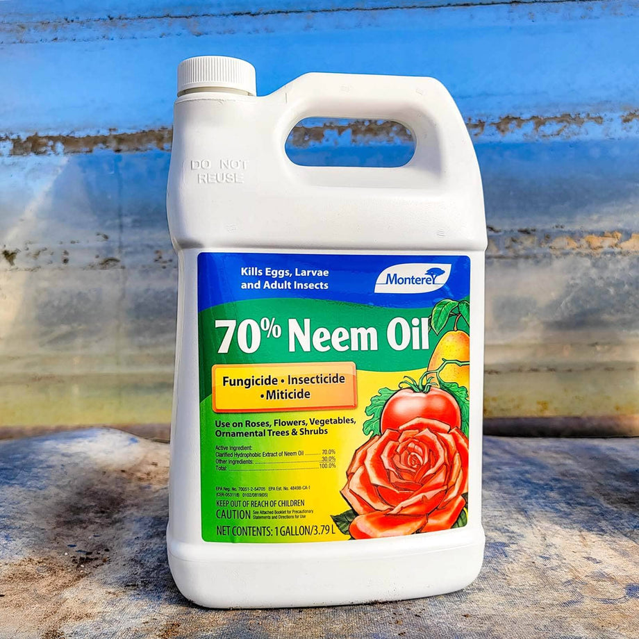 Frequently Asked Questions of neem oil vs insecticide