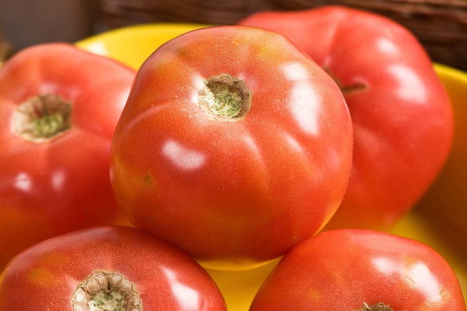Pink Girl Hybrid Tomato F1 – HOSS