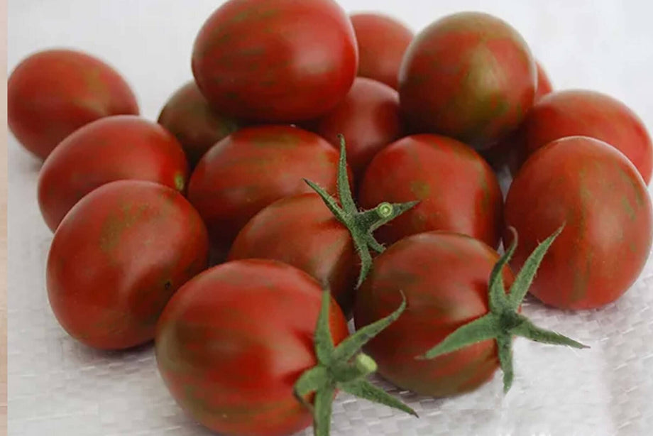 プチtomato *Prof ☑️**様 プチtomato *Prof ☑️**様