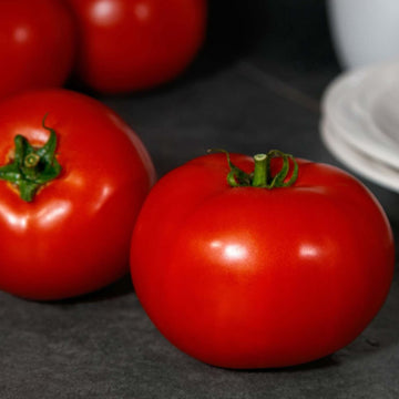 Hossinator Hybrid Tomato F1 – HOSS