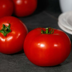 Red Snapper Hybrid Tomato F1