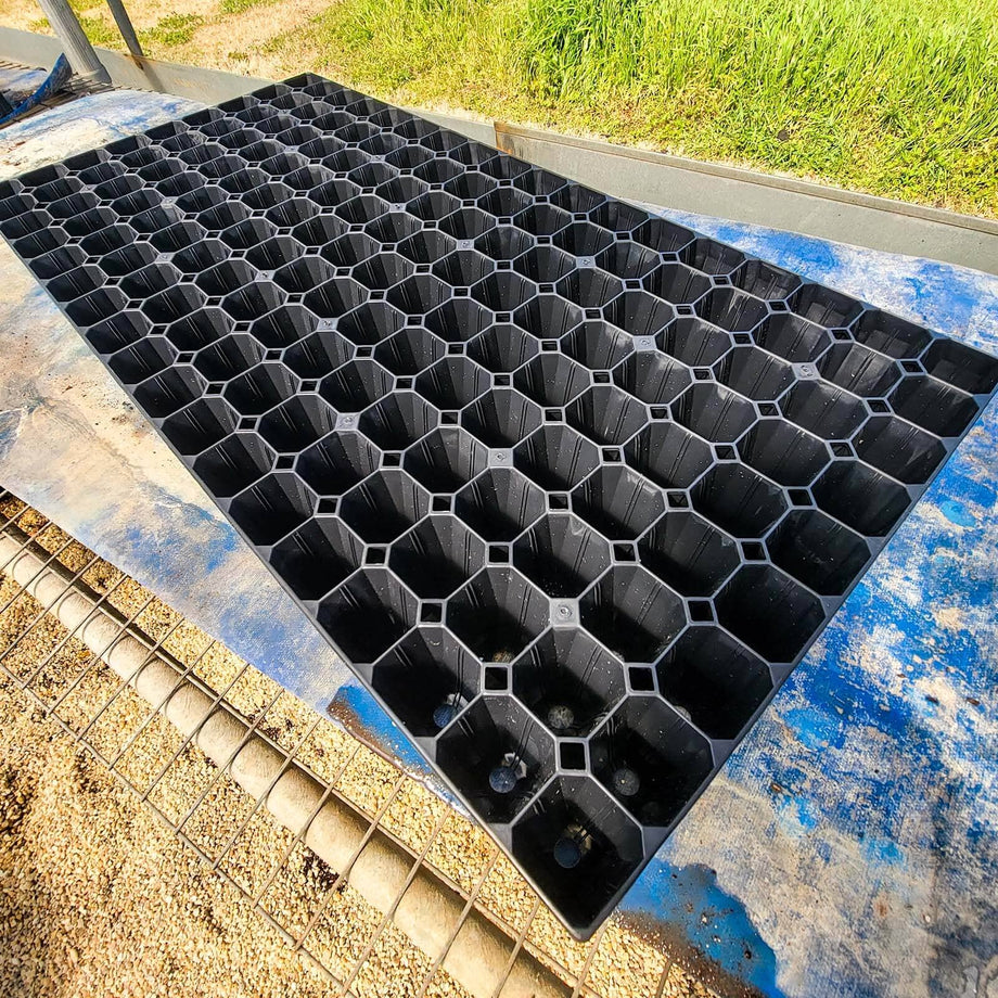 plant seed trays 162 Cell Seed Starting Trays 5 Pack