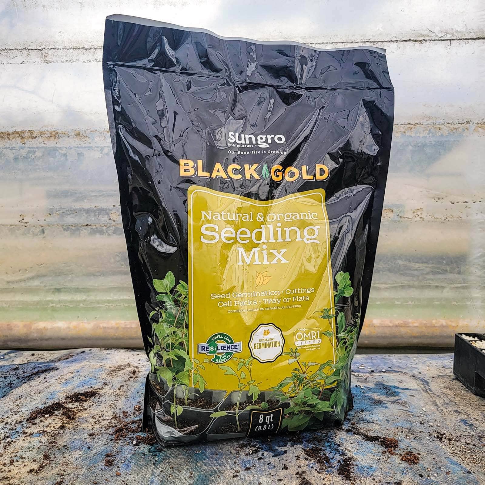 sungro black gold natural and organic potting mix Sungro Black Gold Seed Starting Mix 8 Quarts