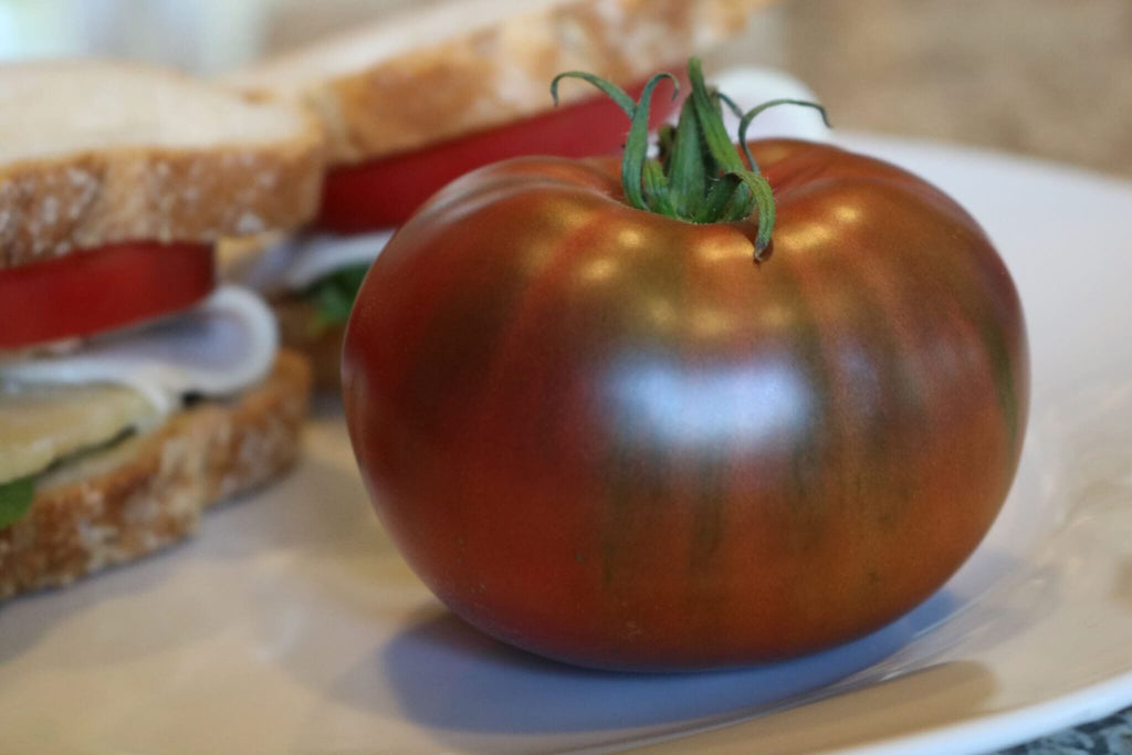 Purple Boy Tomato