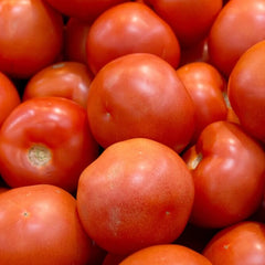 Arkansas Traveler Tomato