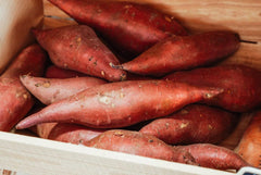 Beauregard Sweet Potato