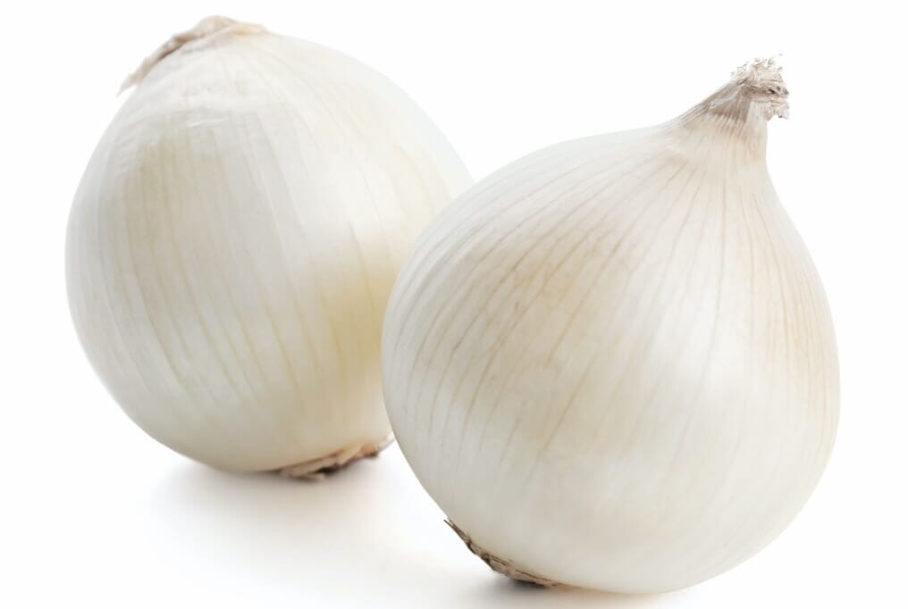 Bella Luna Hybrid Onion F1 – HOSS