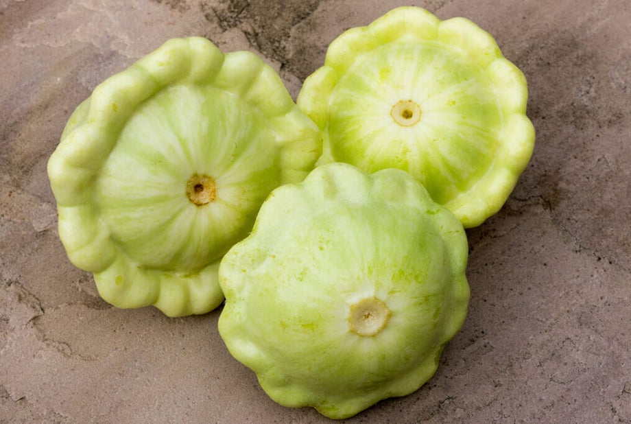 Bennings Green Tint Squash – HOSS