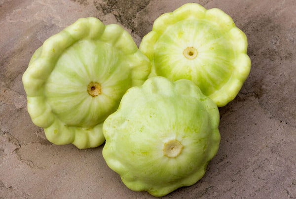 bennings-green-tint-