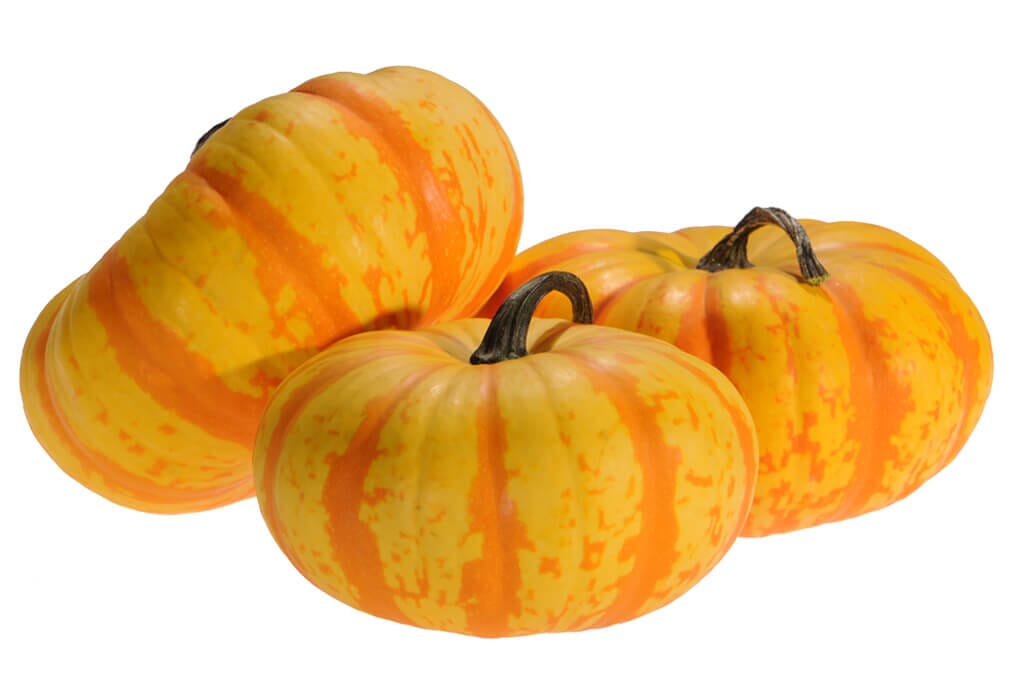 reflex herbicide pumpkins Blaze Hybrid Pumpkin F1