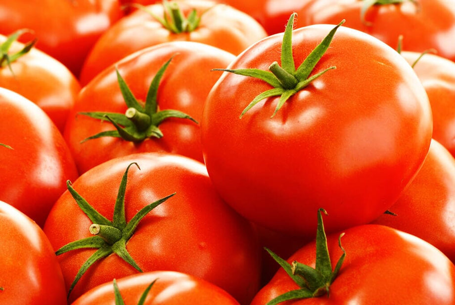 ロッド Summer tomato Amazon.com : This is A Mix 30 Rainbow Deluxe Tomato Seeds