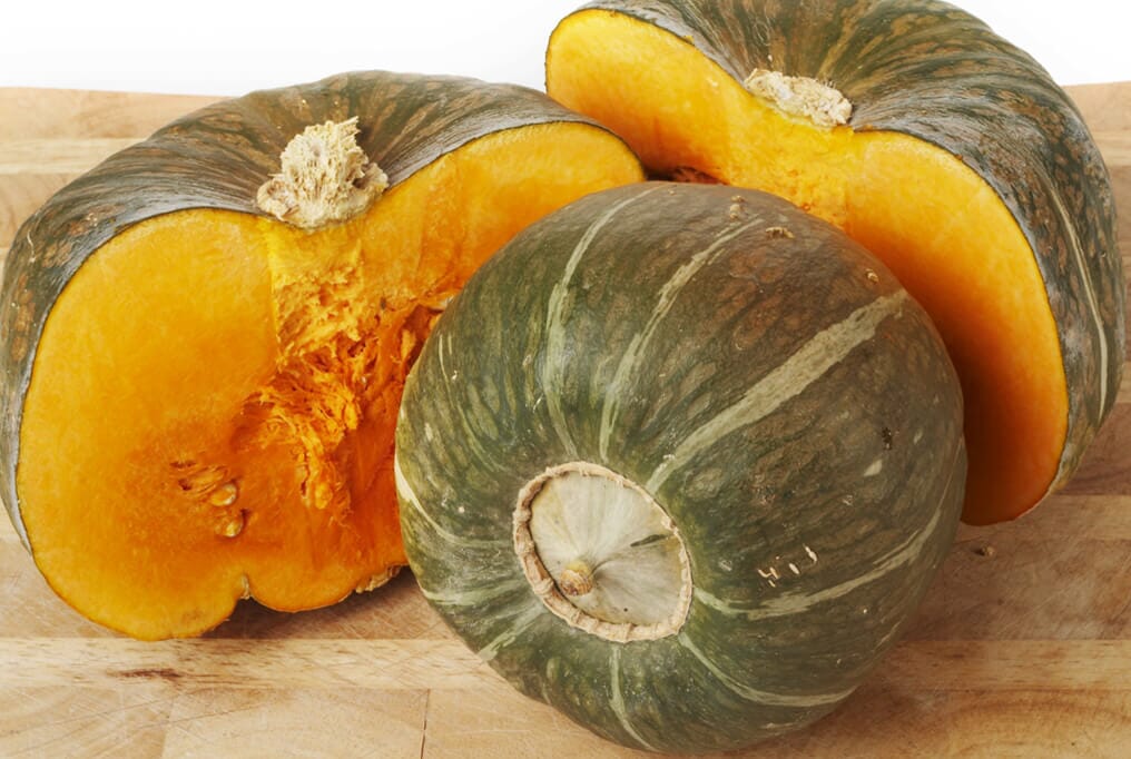 burgess seed & plant coupons Burgess Buttercup Squash
