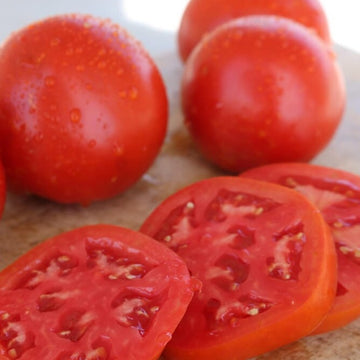 Florida 91 F1 Tomato Seeds – Pase Seeds, Very Easy To Grow, Full Sun, Packaged For 2025