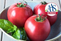 Chef's Choice Pink Hybrid Tomato F1