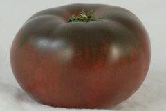 Cherokee Purple Tomato