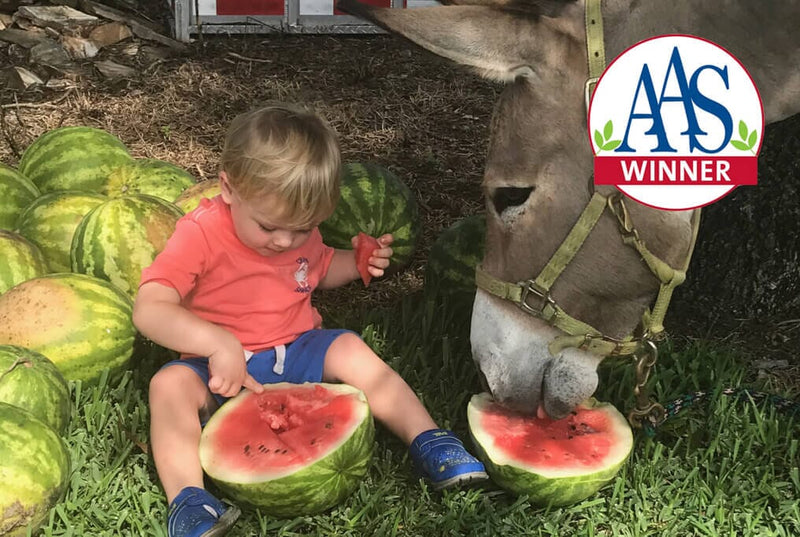 Crimson Sweet Watermelon