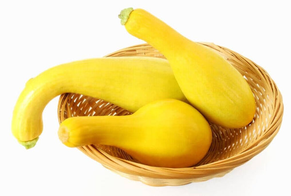 delta-squash_grande.jpg?v=