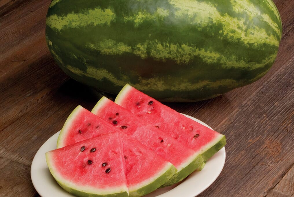 Dulce Fantasia Watermelon
