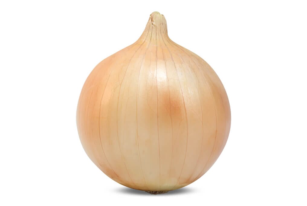 Duster Onion