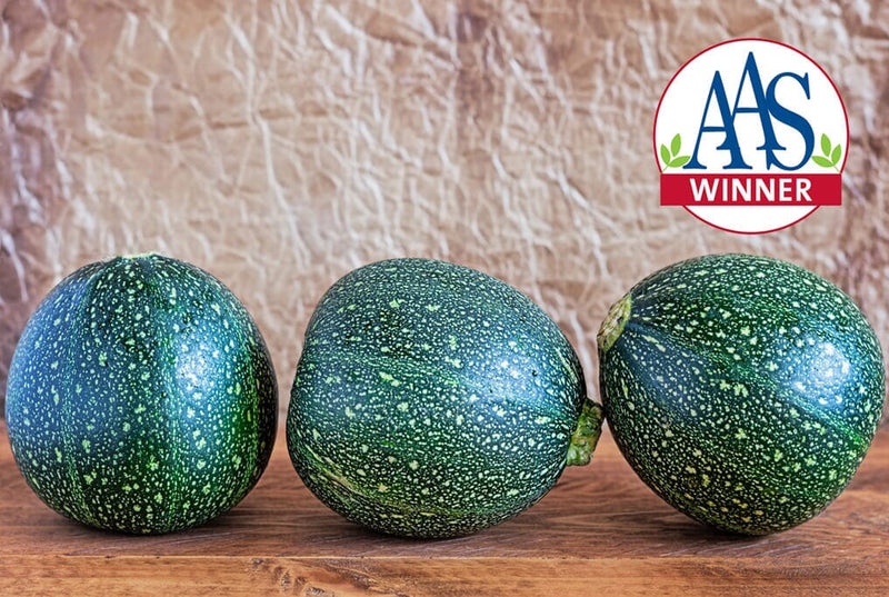 Eight Ball Squash