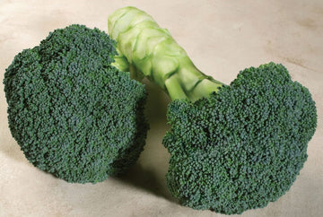 Marathon Hybrid Broccoli F1 – HOSS