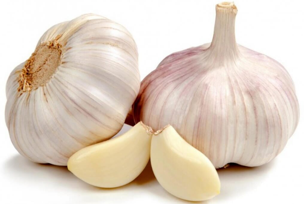 German White Garlic