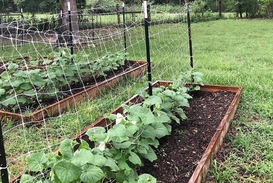 plant trellis net Hortonova Trellis Netting 59" x 100'