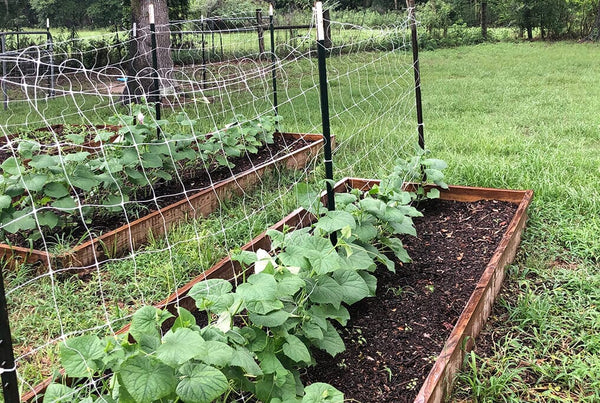 tenax hortonova plant trellis net Hortonova Trellis Netting 59" x 100'