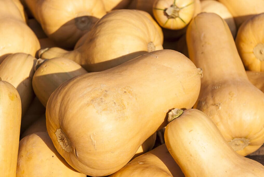 Hoss Butternut Squash – HOSS